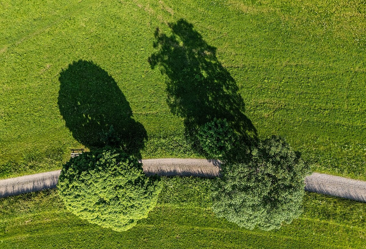 Schwarzwald